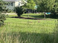 IMG_1476.jpg IMG_1476.jpg