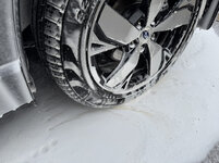 IMG-6309.jpg