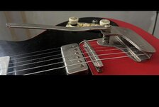 IMG_5535.jpeg