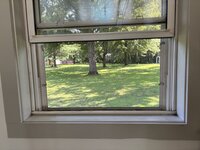 IMG_1824.jpeg