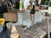 IMG_9311.jpeg