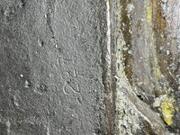 IMG_9316.jpeg