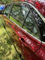 IMG_2456.jpeg
