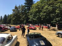 IMG_6313.jpeg IMG_6313.jpeg