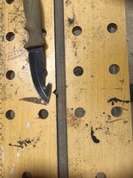 IMG_5885.jpeg