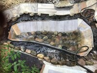 IMG_5889.jpeg