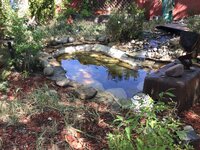 IMG_5893.jpeg