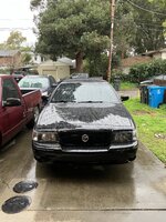 IMG_6039.jpeg