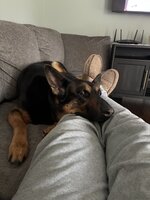IMG_8342.jpeg