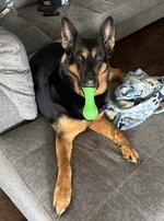 IMG_8078.jpeg