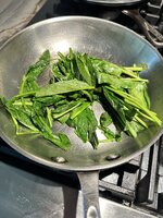IMG_6542.jpeg