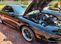 transam.jpg