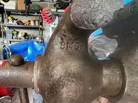IMG_3367.jpeg