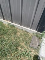 IMG_1889.jpeg
