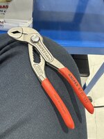 IMG_3217.jpeg
