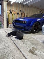 IMG_6997.jpeg