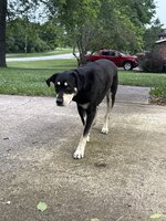 IMG_7138.jpeg