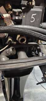 WD4.jpg