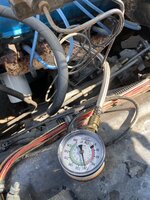 IMG_4645.jpeg