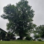 20250801_082537.jpg 20250801_082537.jpg