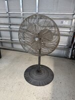 IMG_1237.jpeg IMG_1237.jpeg