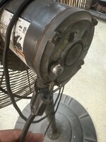 IMG_1238.jpeg IMG_1238.jpeg