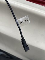 IMG_4704.jpeg