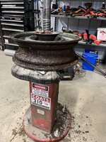 IMG_4220.jpeg IMG_4220.jpeg