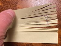 IMG_6790.jpeg