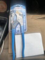 IMG_6979.jpeg