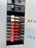IMG_5319.jpeg IMG_5319.jpeg