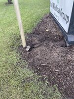 IMG_6616.jpeg