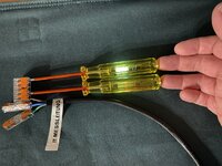 IMG_7243.jpeg
