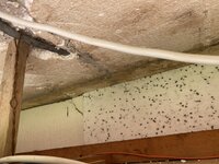 IMG_7151.jpeg