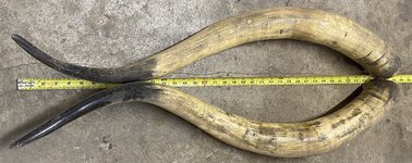 IMG_6843.jpeg