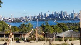 Taronga Zoo.jpg