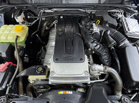 IMG-6780.jpg