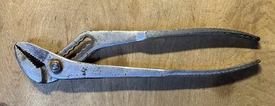 IMG_3551.jpeg
