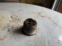 IMG_7341.jpeg