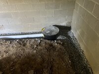 IMG_8393.jpeg IMG_8393.jpeg