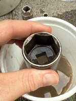IMG_0565.JPG