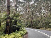 rylstone 15.jpg rylstone 15.jpg