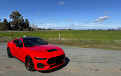 IMG-6803-F.jpg