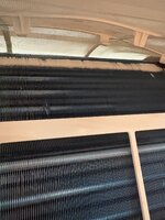 IMG_9451.jpeg