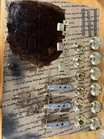 IMG_7836.jpeg