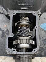 IMG_4868.jpeg