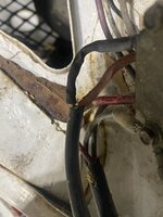 IMG_3987.jpeg
