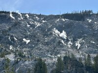 IMG_9818.jpeg