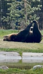 IMG_6758.jpeg