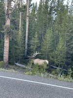 IMG_8207.jpeg
